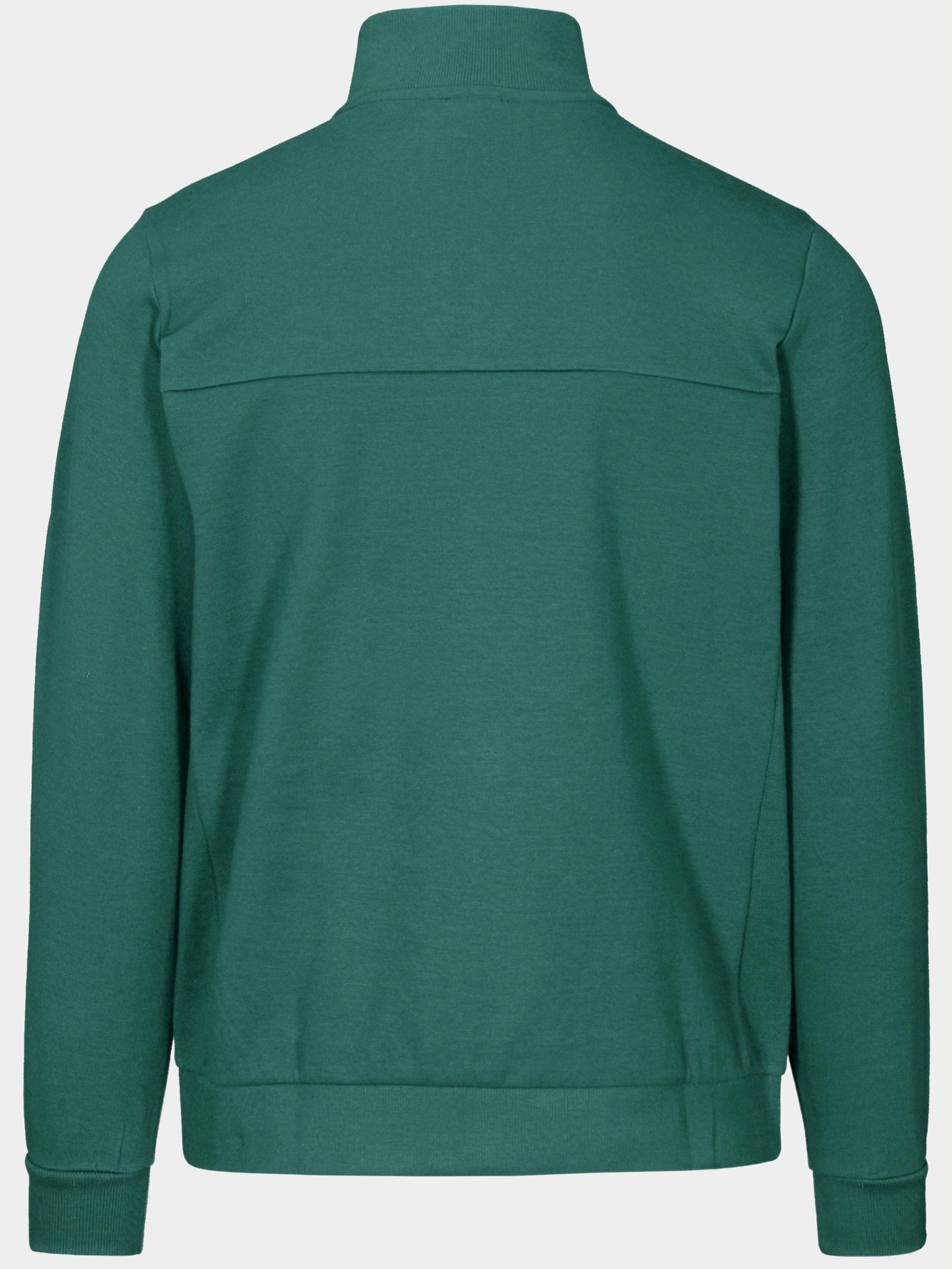 Basefield Sweater Groen Troyer Sweatshirt 219017469/505