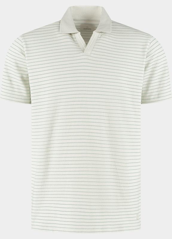 Dstrezzed Polo heren Groen DS_Alistar Polo 240152-SS26/565