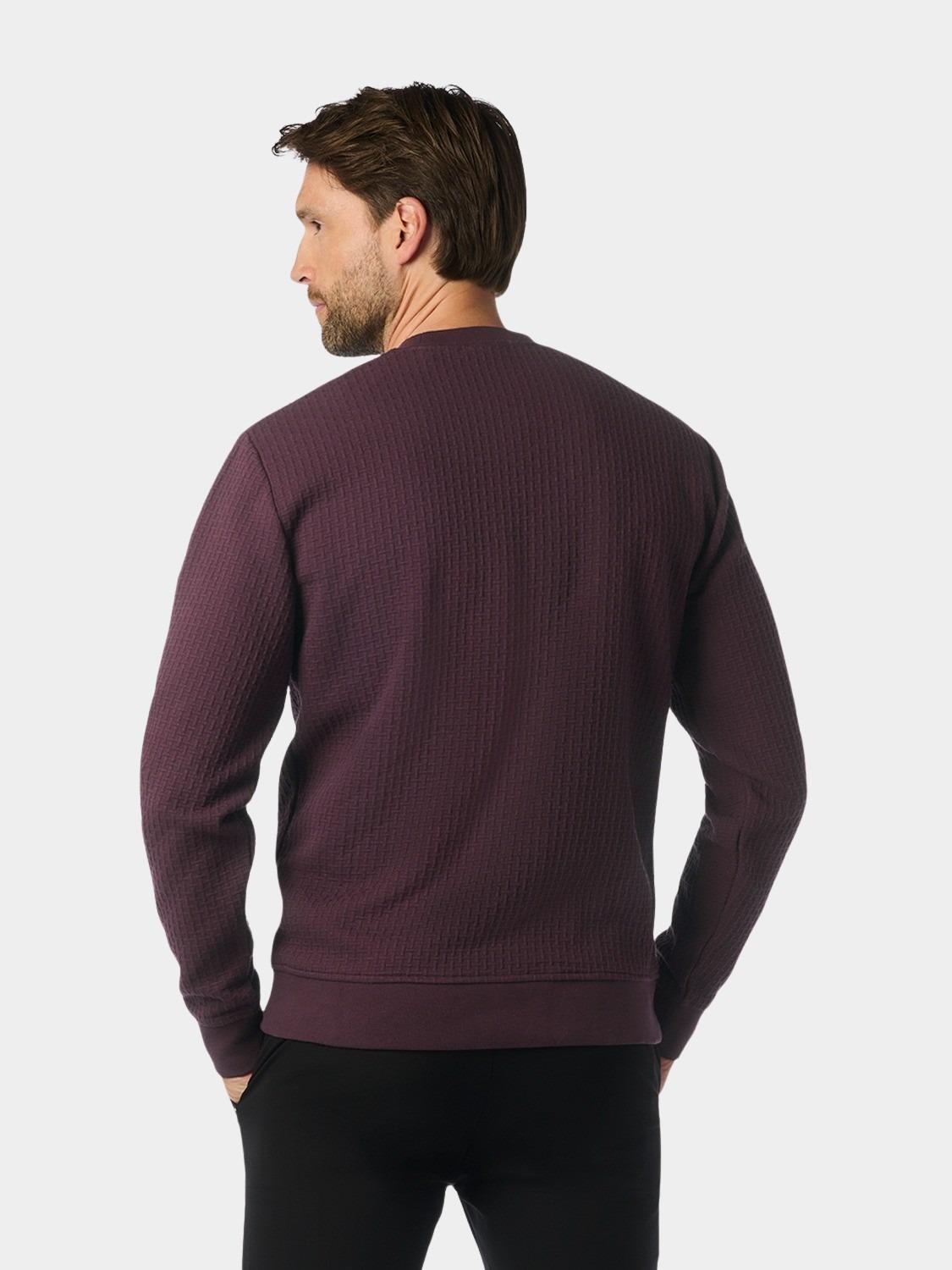 No Excess Sweater Paars Sweater Crewneck Double Layer 25100908/083