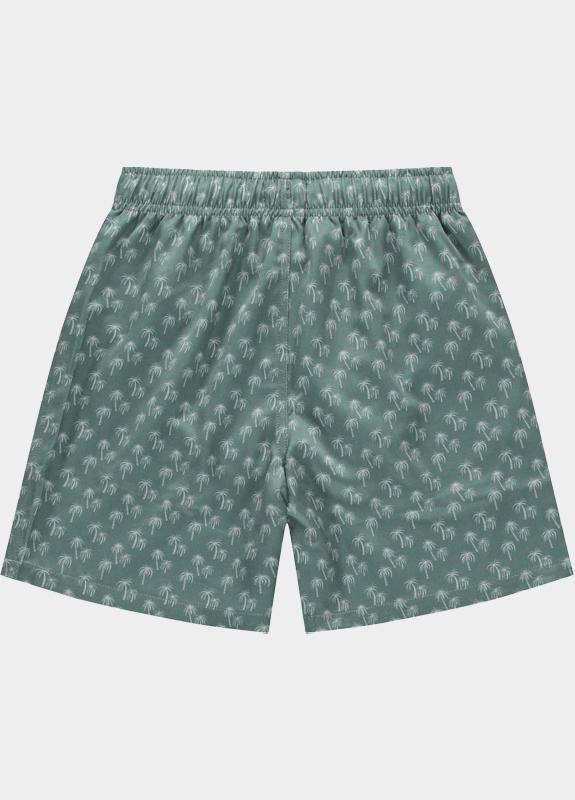 Cars Jeans Zwembroek Grijs Tayel 62273/44