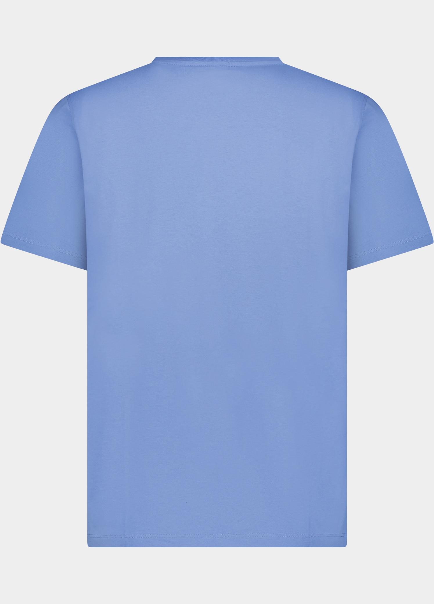 Cars Jeans T-shirt heren Grijs Froso 43552/71