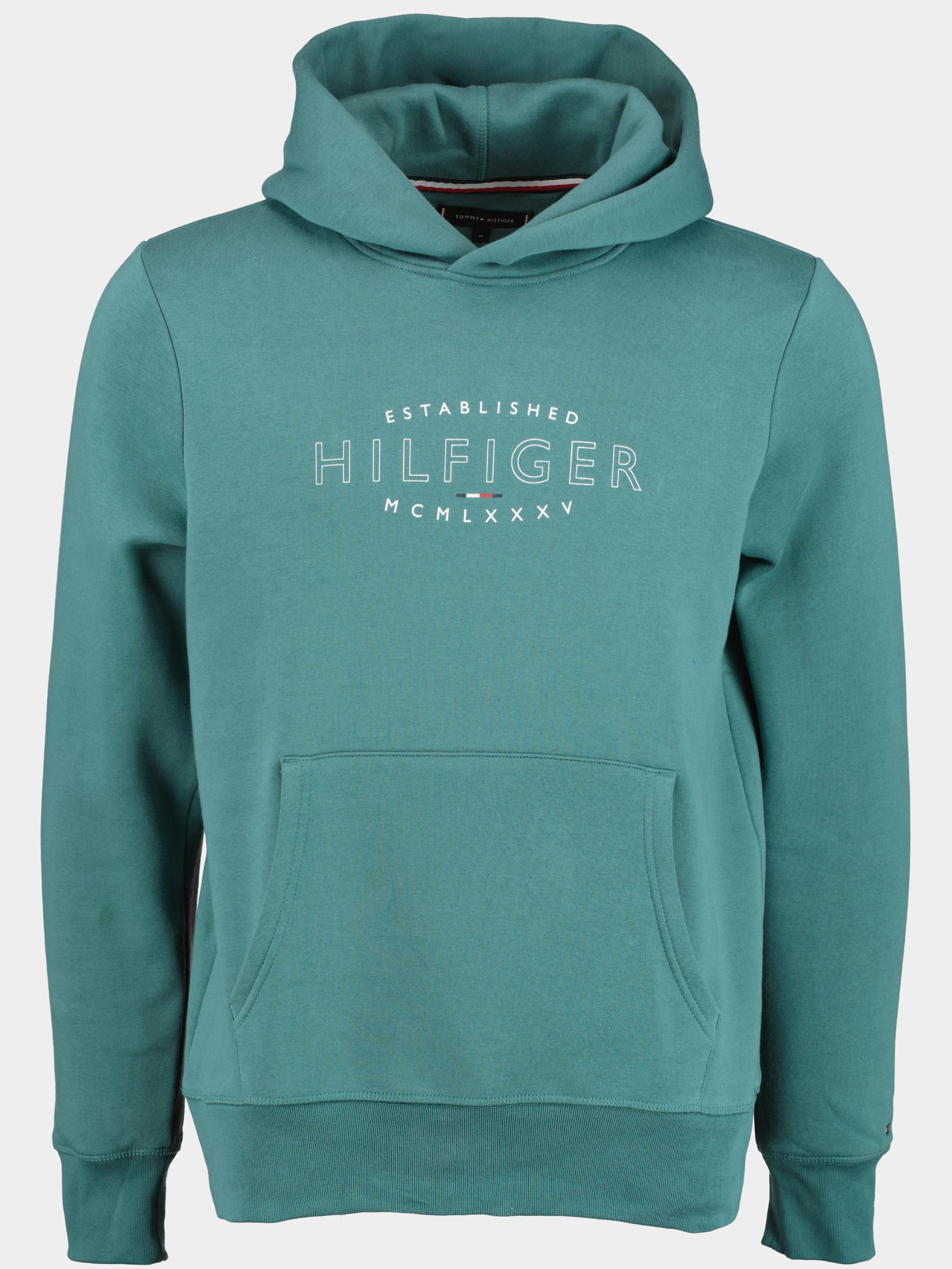 roterend niemand been Tommy Hilfiger Sweater Groen Hilfiger Curve Logo MW0MW30013/MB6 | Bos Men  Shop