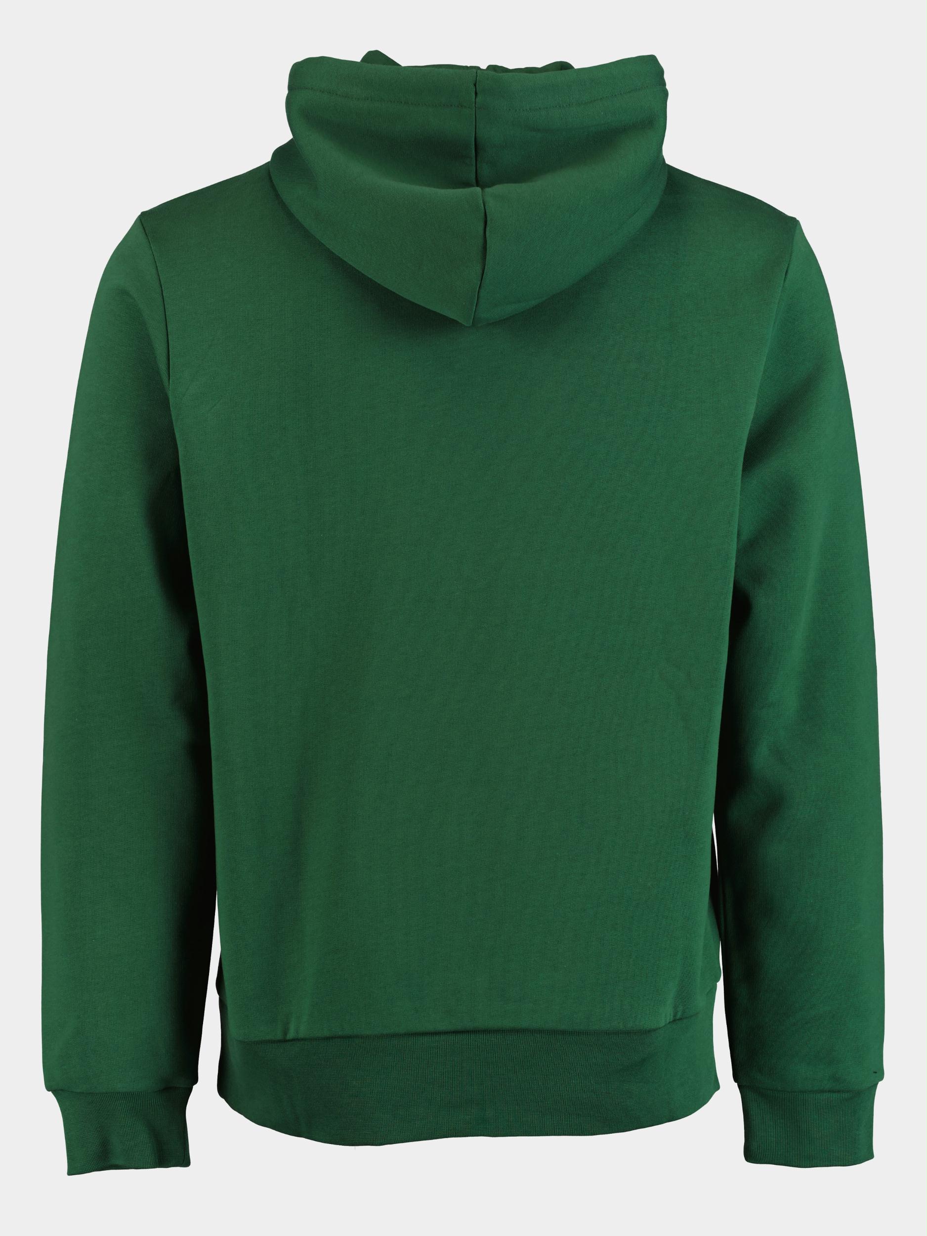 Lacoste Sweater Groen  SH9623/132