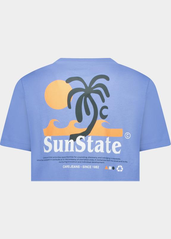 Cars Jeans T-shirt korte mouw Grijs Ritzo 62371/71