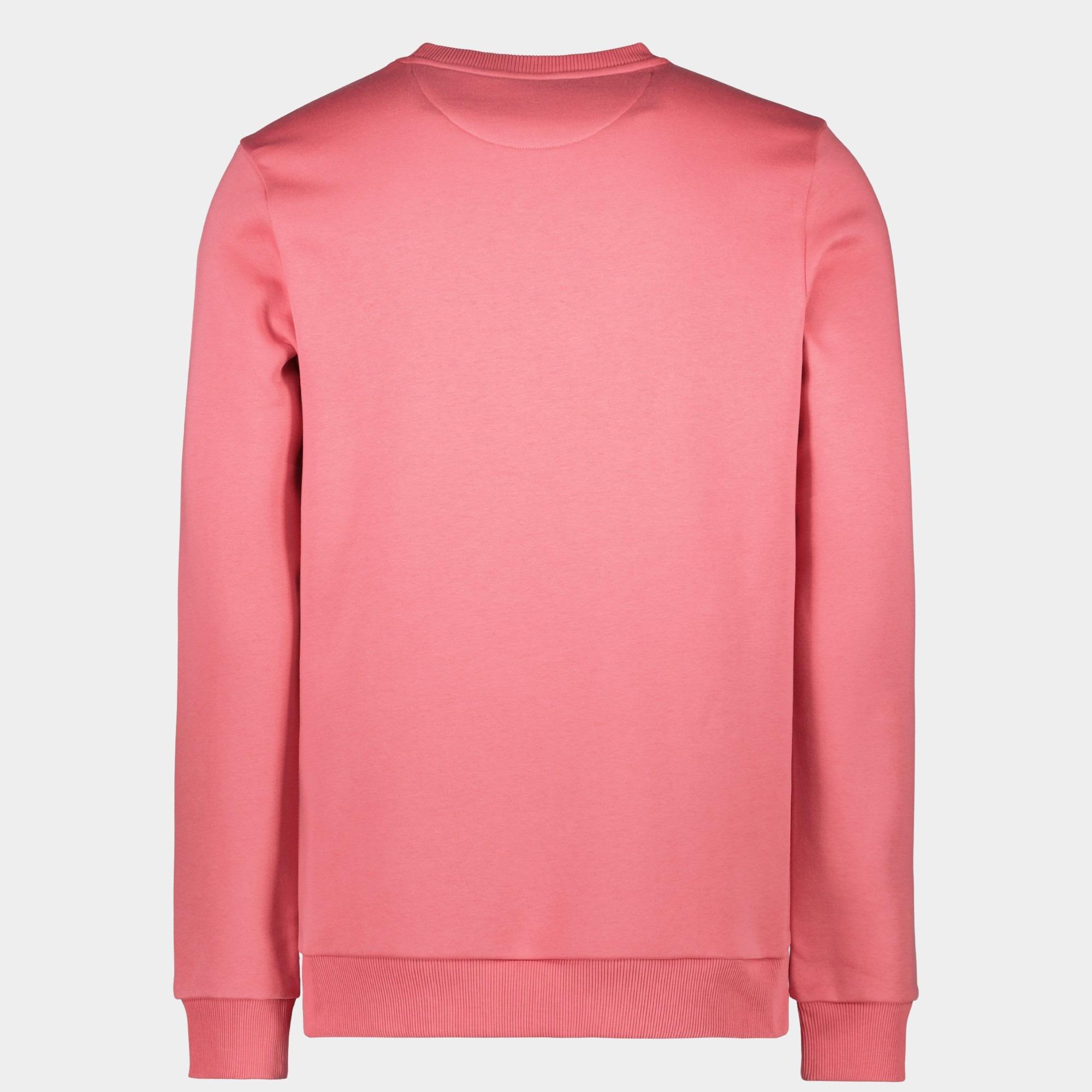 Cars Jeans Sweater Paars Kreyam 69746/62