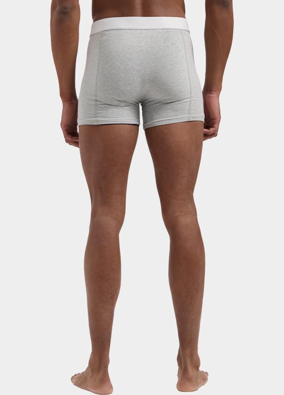 Dstrezzed Boxershorts Grijs Chaplin 2 Pack Boxers Bamboo 707014/893