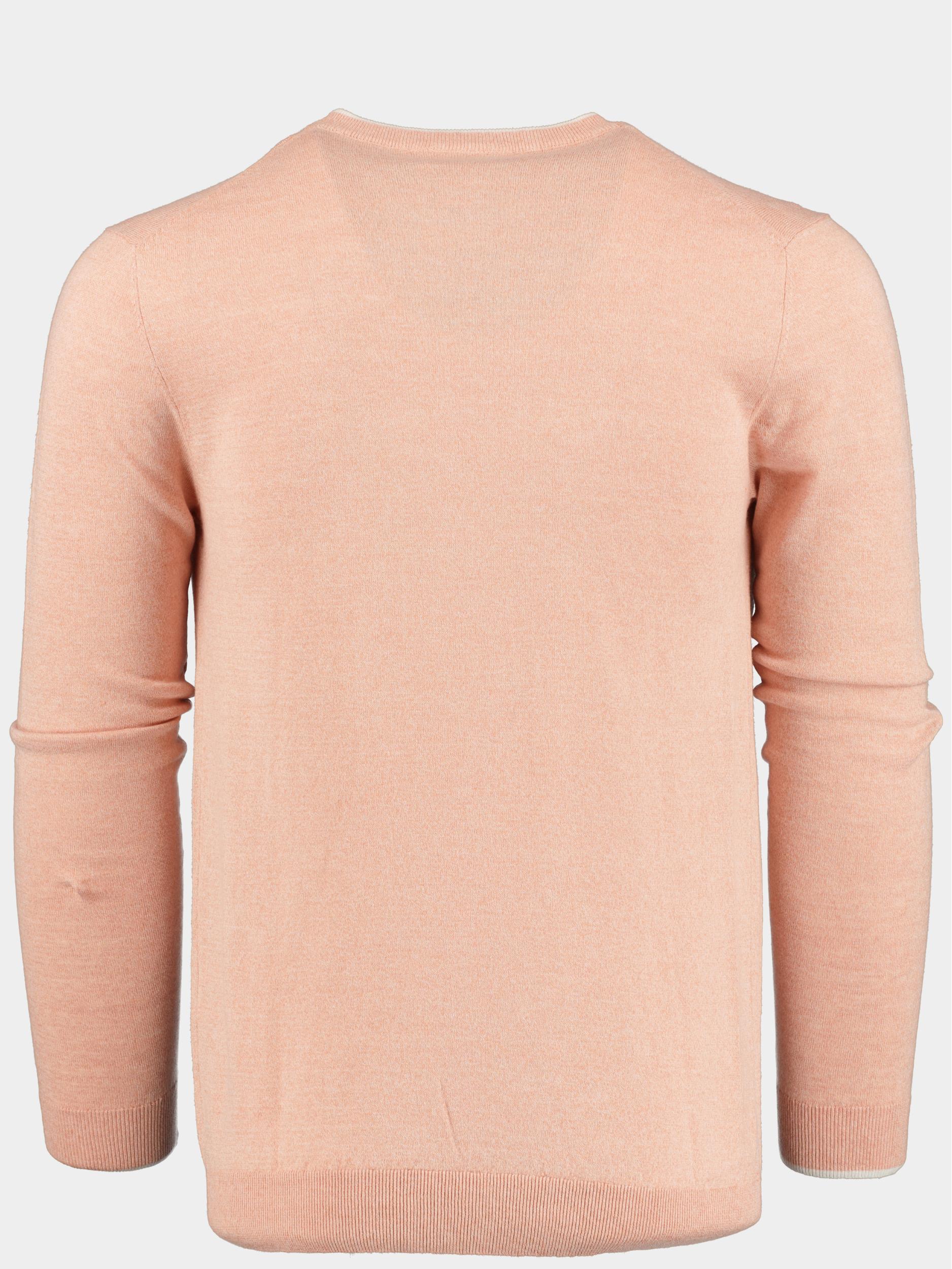 Born With Appetite Pullover Roze Johan R-neck Pullover Flatkni 23105JO11/750 salmon