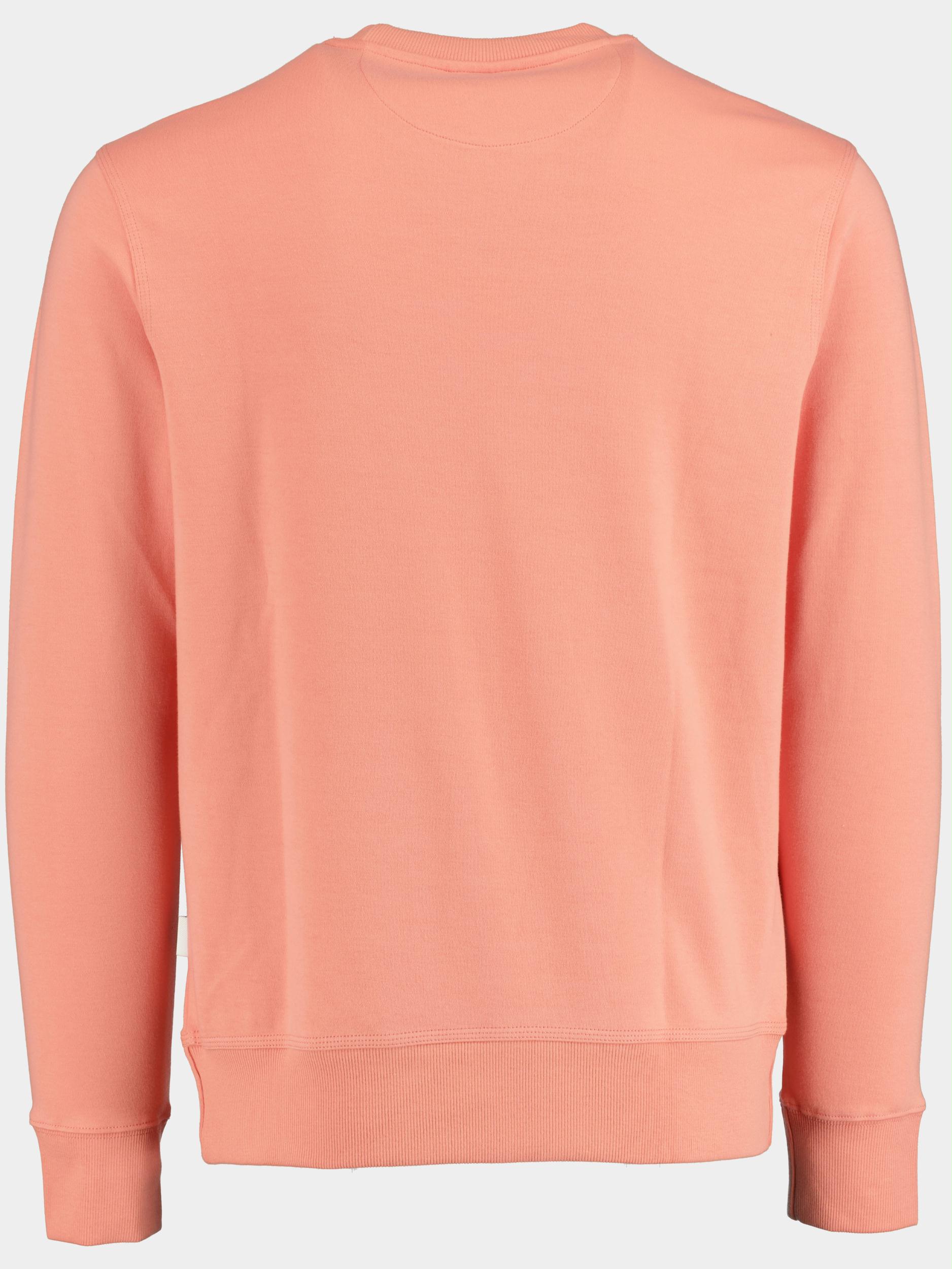 Supply & Co. Sweater Roze Boas Basic Sweat Rn 22112BO04/750 flamingo